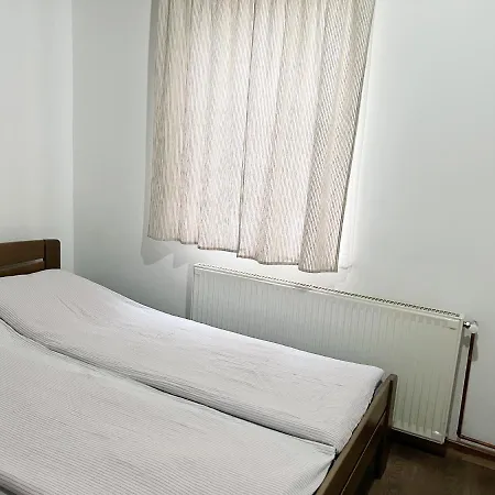 Aleksandar Kopaonik *