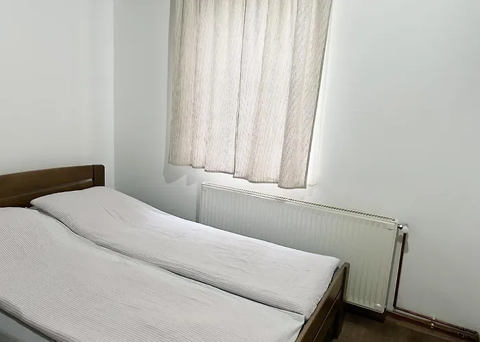 Aleksandar Kopaonik *