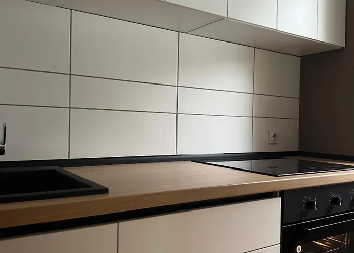 Aleksandar Kopaonik *